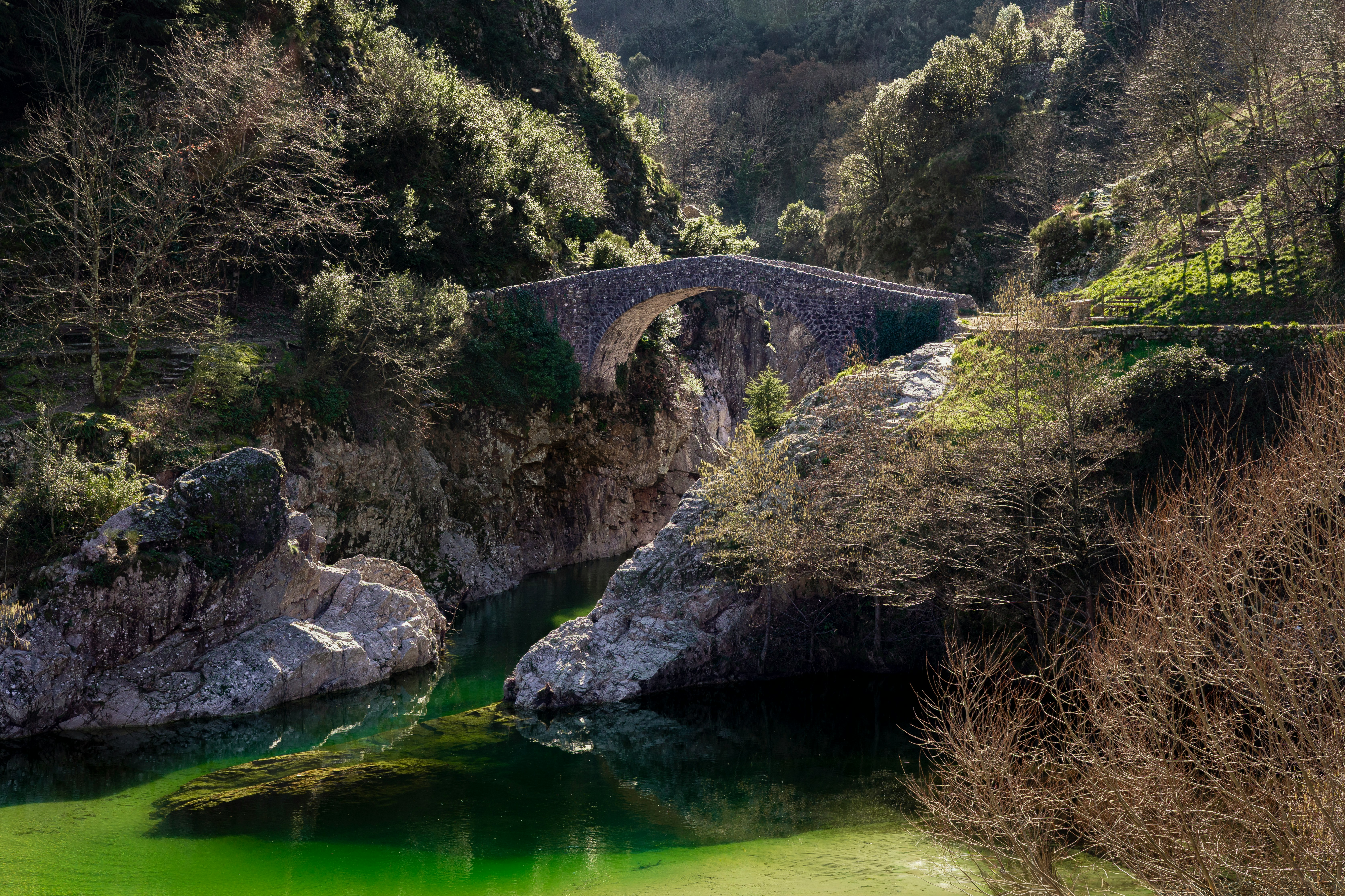 Rivière et gorges sauvages en Haute-Loire